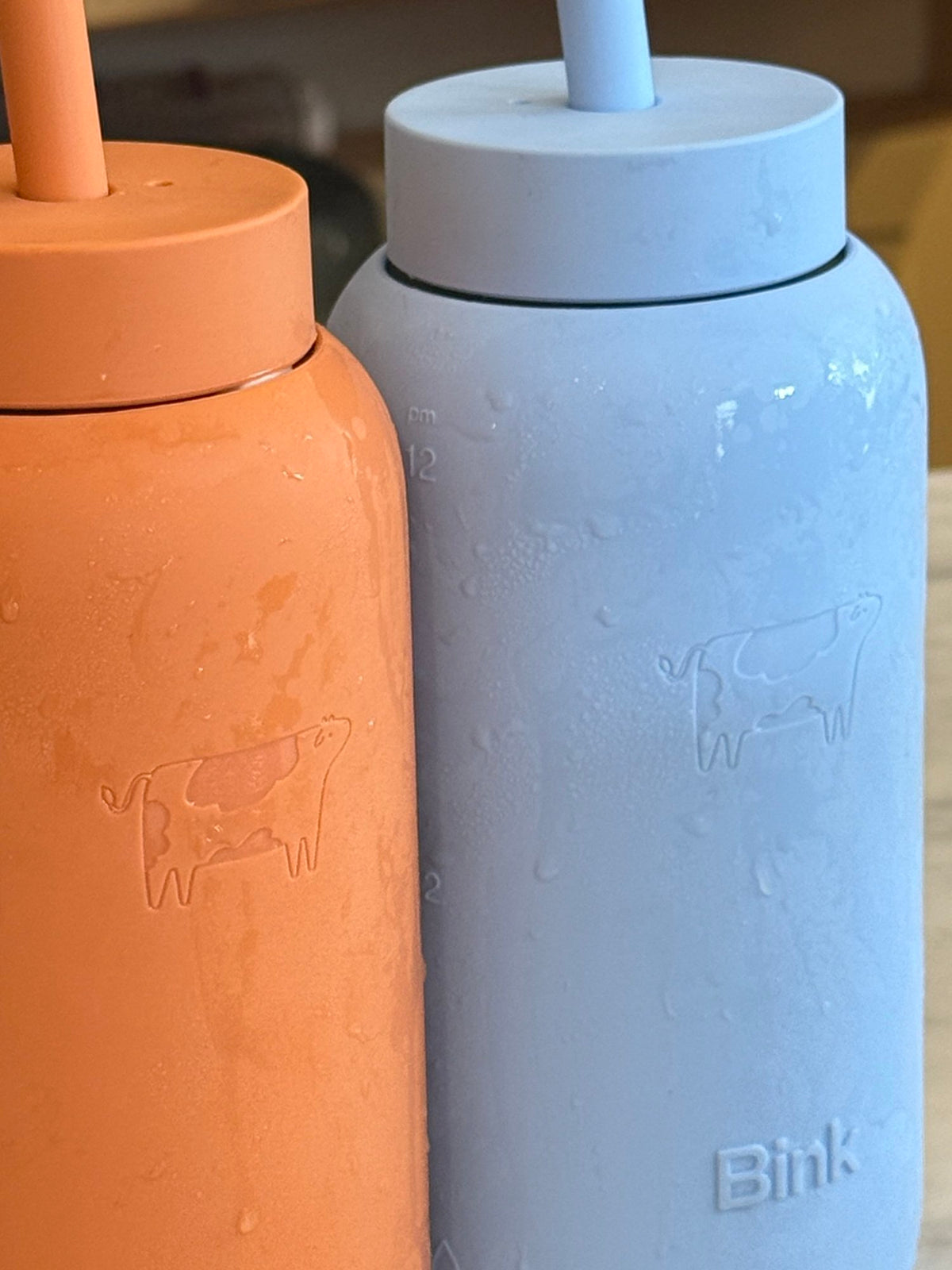 Bink Day Bottle + Lounge Straw Cap